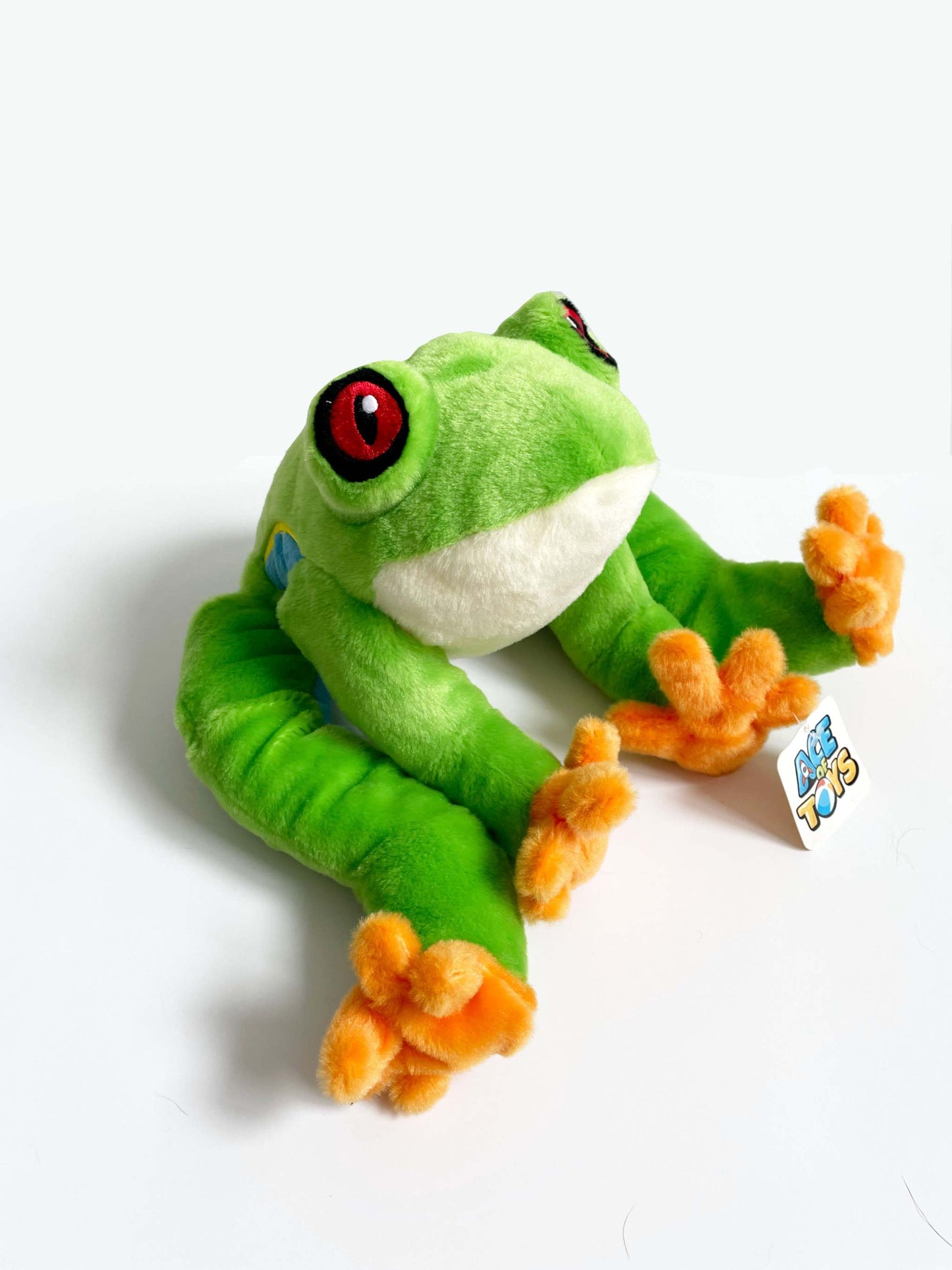 SHIMMY TREE FROG