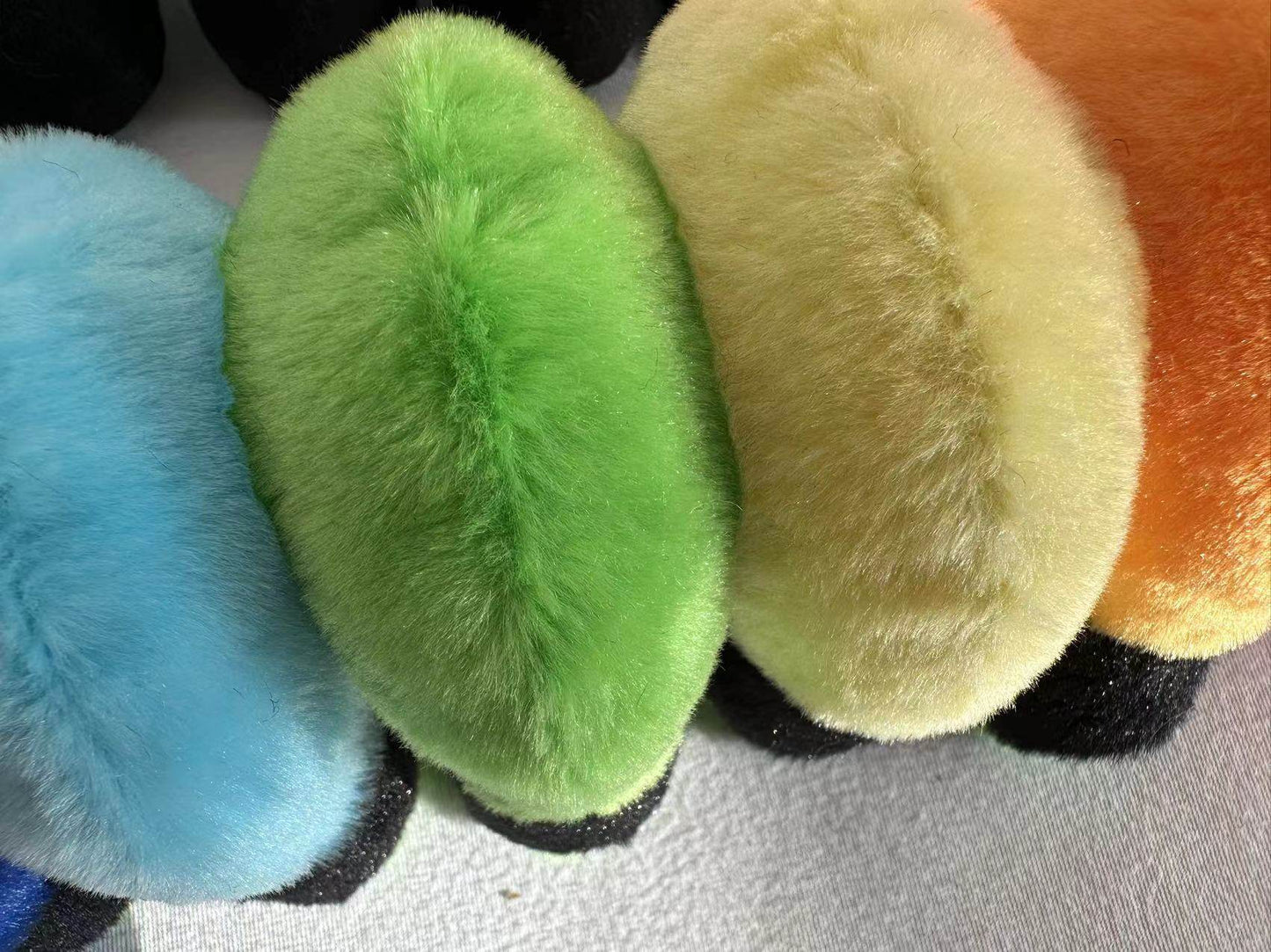 Rainbow Caterpillar