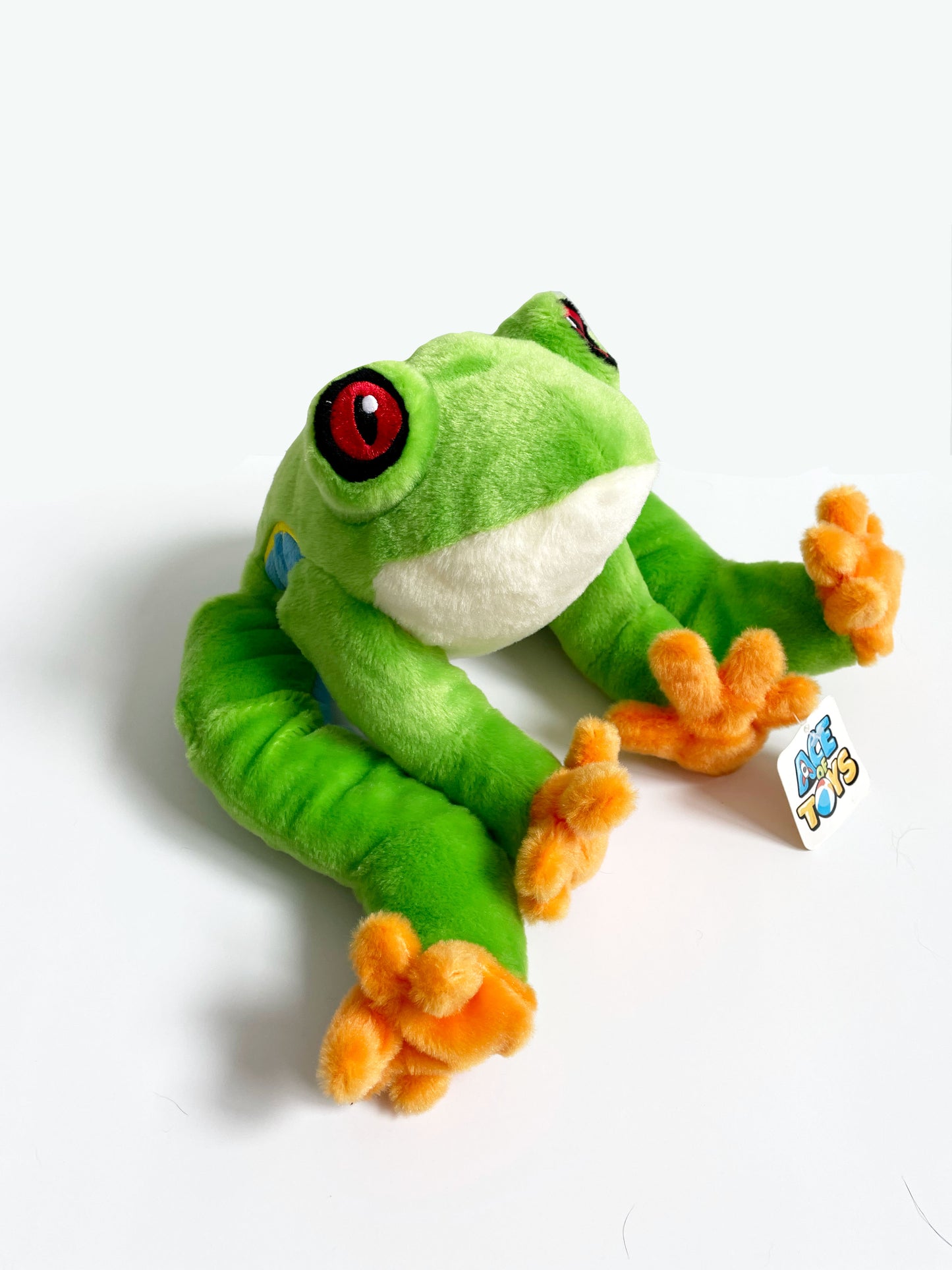 SHIMMY, TREE FROG